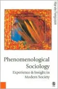 Phenomenological Sociology: Experience and Insight in Modern Society