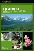 Glacier: A Natural History Guide