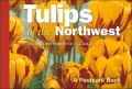 Tulips of the Northwest : A Postcard Book