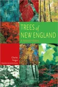 Trees of New England: A Natural History