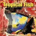 Tropical Fish 2004 Calendar