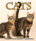 2004 Cats Weekly Engagement Calendar