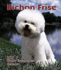 2004 Bichon Frise Weekly Engagement Calendar