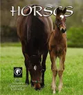 2004 Horses Weekly Engagement Calendar
