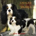 Cav King Charles Span Squ Wall Cal 2006