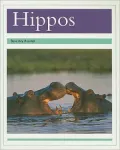 Hippos