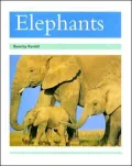 Elephants