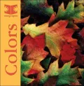 Colors: Easy Open Board Book