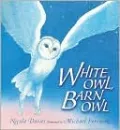 White Owl, Barn Owl