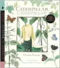 Caterpillar, Caterpillar with Audio, Peggable: Read, Listen, & Wonder
