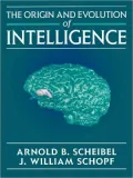 The Origin and Evolution of Intelligence