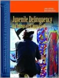 Juvenile Delinquency: An Integrated Approach