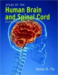 Atlas of the Human Brain and Spinal Cord