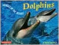 Dolphins