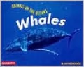Whales