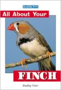 Finch