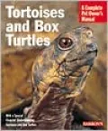 Tortoises and Box Turtles