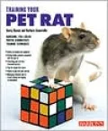 Training Your Pet Rat