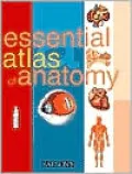 Essential Atlas of Anatomy