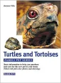 Turtles and Tortoises
