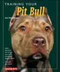 Training Your Pit Bull