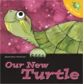 Let's Take Care of Our Turtle