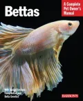 Bettas