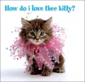 How Do I Love Thee, Kitty?