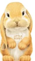 Little Bunny (Look at Me Books Series)