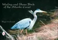 Wading and Shore Birds of the Atlantic Coast