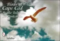 Birds of Cape Cod and the Islands in Postcards