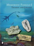 Mesozoic Fossils Triassic and Jurassic