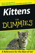 Kittens for Dummies