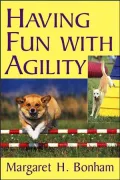 Having Fun with Agility
