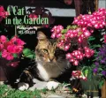 A Cat in the Garden 2008 Calendar