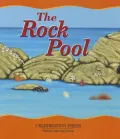 The Rock Pool