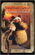 Sleeping in Flame