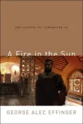 Fire in the Sun
