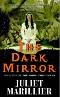 Dark Mirror (Bridei Chronicles Series #1)