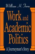 Work and Academic Politics: A Journeyman's Story