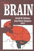 Brain