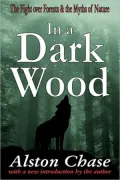 In A Dark Wood