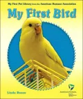 My First Bird