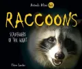 Raccoons: Scavengers of the Night