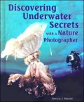 Discovering Underwater Secrets With a Nature Photographer