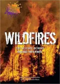 Wildfires: The Science Behind Raging Infernos (The Science Behind Natural Disasters)