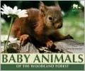 Baby Animals of the Woodland Forest