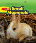 Top 10 Small Mammals for Kids