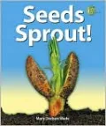 Seeds Sprout!
