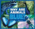 Why Are Animals Blue?